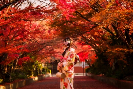 山口市内紅葉風景